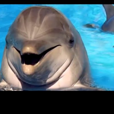 Profile Picture of Corey Garver (@MyViciousSetUp) on Twitter