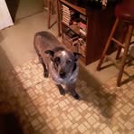 Profile Picture of John Stoetzel (@john.stoetzel.14) on Facebook