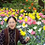 Profile Picture of Alice Wang (@alice wang66) on Flickr