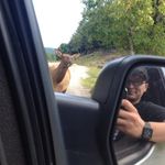 Profile Picture of Alexander Perlin (@alexanderperlin) on Instagram