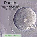 Profile Picture of Geoffrey Parker (@geoffrey_parker) on Instagram