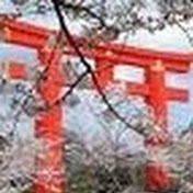 Profile Picture of Michelle Jefferies (@michellejefferies9249) on Youtube