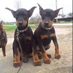 Profile Picture of Paul Harker (@harker3312) on Instagram