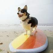 Profile Picture of John LaFleur (@MrMcfleur) on Youtube