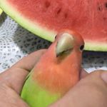 Profile Picture of Sam Kinney (@s.kinney1101) on Instagram