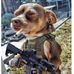 Profile Picture of Tammy Travis (@tammy.travis.7509) on Facebook