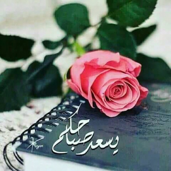 Profile Picture of Karima Bonito (@karimmb) on Poshmark