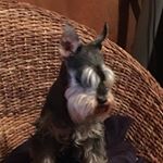 Profile Picture of Tracey Cahill (@cahill5009) on Instagram