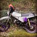 Profile Picture of David Kos (@david.kos.3511) on Facebook