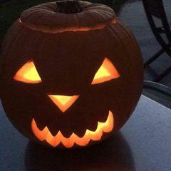 Profile Picture of Bob Ledoux253 (@bobledoux253) on Tiktok