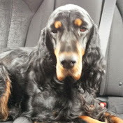 Profile Picture of Phyllis Lundy (@phyllislundy5235) on Youtube