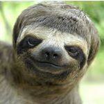 Profile Picture of Приколы, Шутки, Мемы (@hoho_tushka) on Instagram