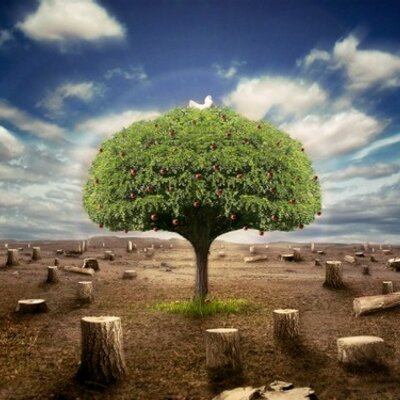 Profile Picture of Sean Thomas Cabral (@seanthomascabra) on Twitter