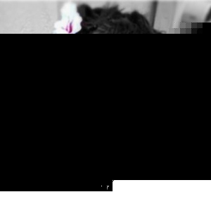 Profile Picture of Alice Frizzell (@wonderlandwhitequeen) on Myspace