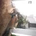Profile Picture of Edwine Raymer (Dogman) (@edwine.raymer) on Facebook