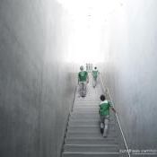 Profile Picture of Roberto Jimenez (@robj768) on Pinterest