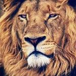 Profile Picture of Ira Gordon (@gordonsr357) on Instagram