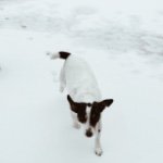 Profile Picture of Lucy Sutter (@lucysutterbutter) on Instagram
