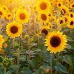 Profile Picture of Elena Dèvora (@elena.devora.777) on Facebook