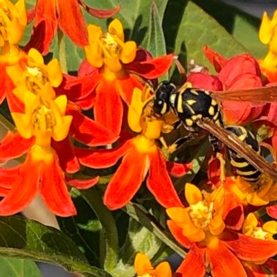 Marybeth D. Smith - Twitter Profile Picture of Marybeth D. Smith (@DollySmith) on Twitter