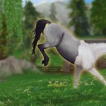 Profile Picture of 𝗖𝗿𝘆𝘀𝘁𝗮𝗹 𝗖𝗿𝗼𝘀𝘀 (@crystal._.cross) on Instagram