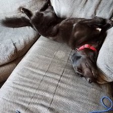 Profile Picture of Michael Jeppesen (@JeppesenStephen) on Twitter