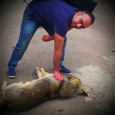 Profile Picture of Arash Yazdani (@Arashyazdani63) on Twitter