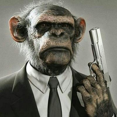 Profile Picture of Emil Krause (@IrisObels) on Twitter