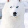 Profile Picture of Nathan Trout (@@nathantrout38) on Tiktok