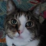 Profile Picture of Jeffrey Neer (@jeffrey.neer) on Instagram