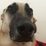 Profile Picture of Claus Nicholas Burger Brinkley (@claus_n_burg) on Instagram