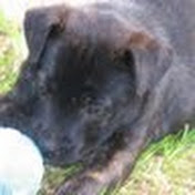 Ken Robbins - Youtube Profile Picture of Ken Robbins (@obmikalle) on Youtube