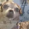Profile Picture of arthurcapps270 (@arthurcapps270) on Tiktok