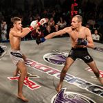 Profile Picture of Omar Shaheen (@shaheenmma) on Instagram