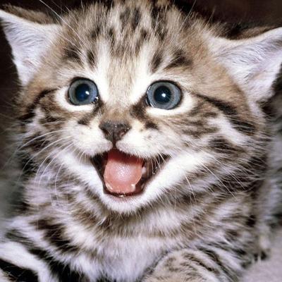 Profile Picture of Marc Albin (@MalbinLM) on Twitter