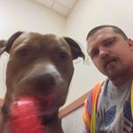 Profile Picture of Jeff Perham (@perhamjeff) on Instagram