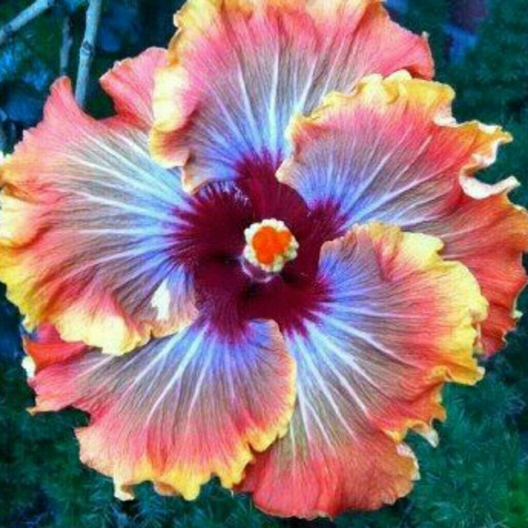 Profile Picture of Kylie Keperling (@olivia_thomas7) on Poshmark