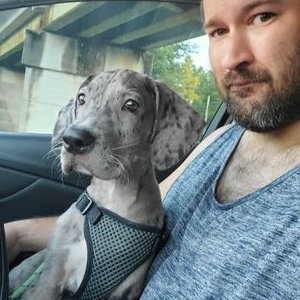 Profile Picture of Daniel Denney (@sccwm) on Twitter