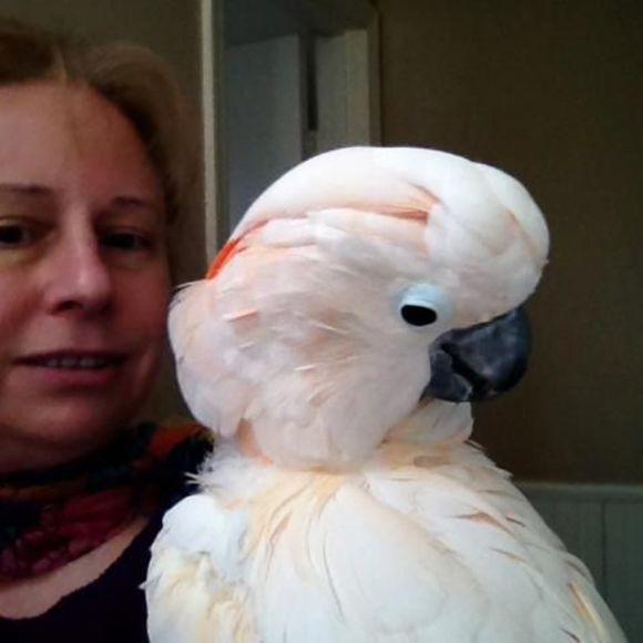 Profile Picture of Mary Euler (@maryemny) on Poshmark