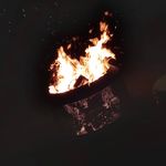 Profile Picture of David (@david.schack.92) on Instagram