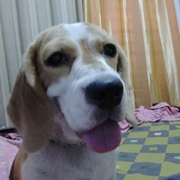 Profile Picture of Micaela Copiozo (@micaela-copiozo) on Quora