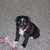 Profile Picture of Kevin Strader (@kevin.strader) on Facebook