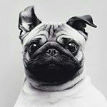 Profile Picture of knifeparteeeeeee🌶🌶🌶 (@vernonnicholas_) on Instagram