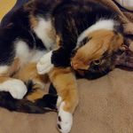 Profile Picture of Susanne James (@susanne.james.39) on Instagram