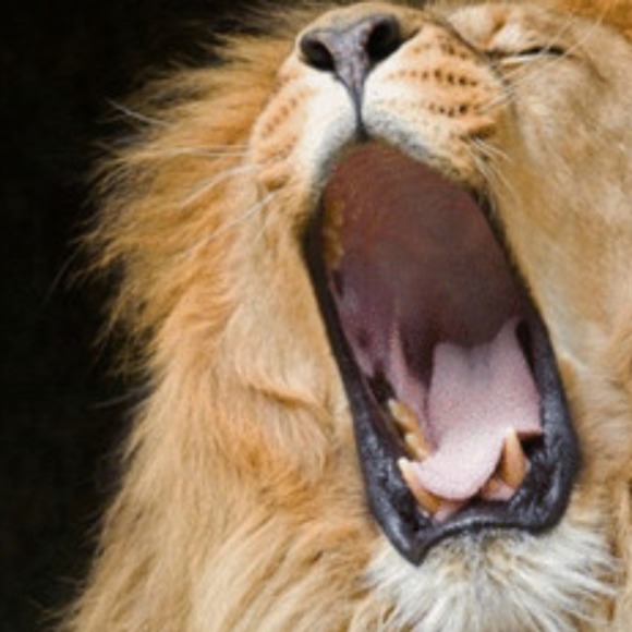 Profile Picture of Ariel Yousefzadeh (@mrcool8264) on Poshmark