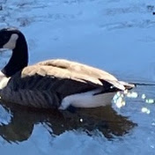 Profile Picture of Jason Wong (@jasonwong6477) on Youtube