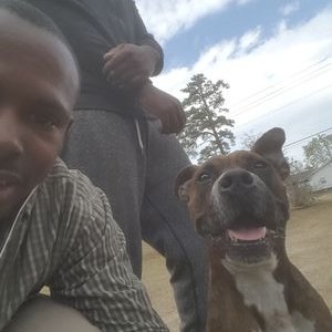 Quentin Jackson - Twitter Profile Picture of Quentin Jackson (@Quentinxavierj1) on Twitter