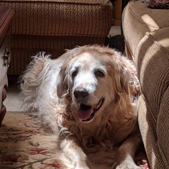 Profile Picture of Cheri Millson (@cjm55) on Poshmark