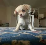 Profile Picture of Jacqueline Eddison (@jacqueline.eddison.2025) on Facebook