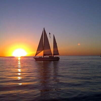 Profile Picture of Steve Archibald (@SKArchibald) on Twitter